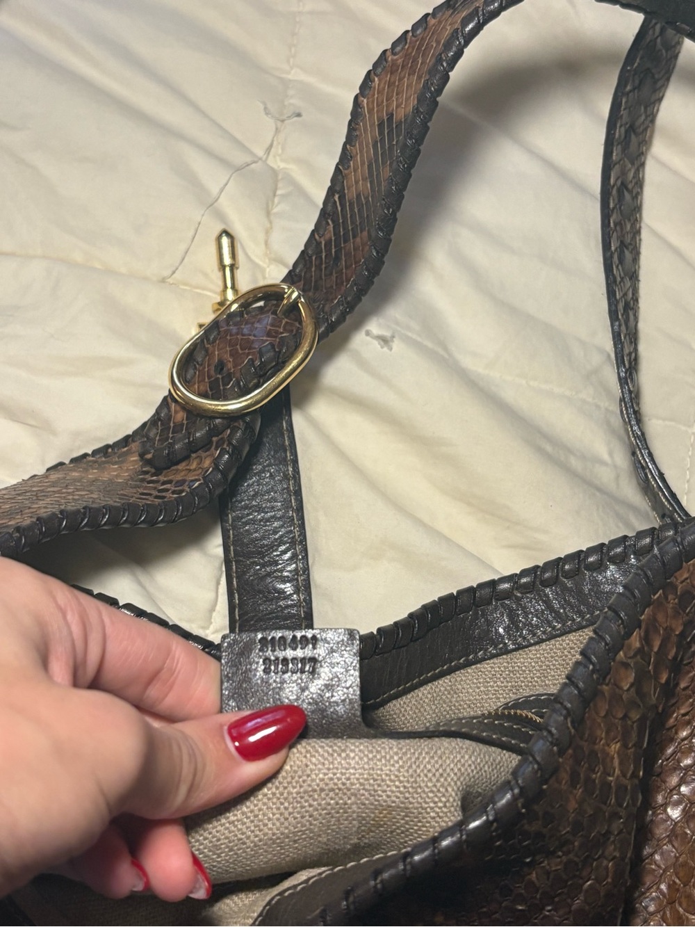 Python Gucci New Jackie - Picture 5 of 9